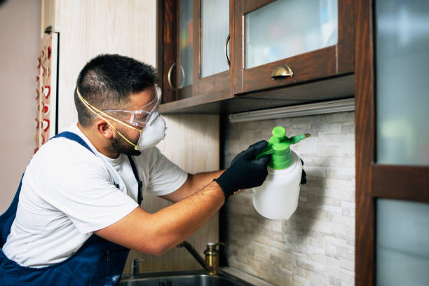 Professional Pest Control in Apache, OK