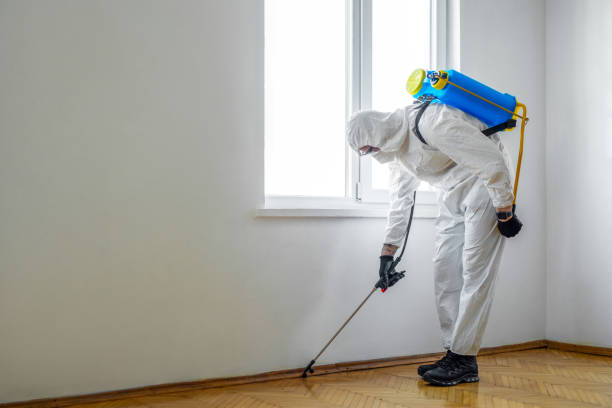 Best Wasp Removal Services  in Apache, OK