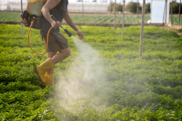 Best Best Pest Control Companies  in Apache, OK