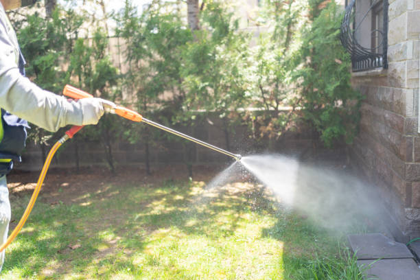 Insect Control in Apache, OK